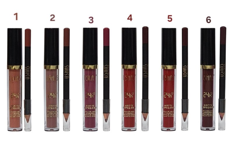 BRILLO LABIAL Y LAPIZ DELINEADOR DE LABIOS MATTE 6 TONOS USHAS