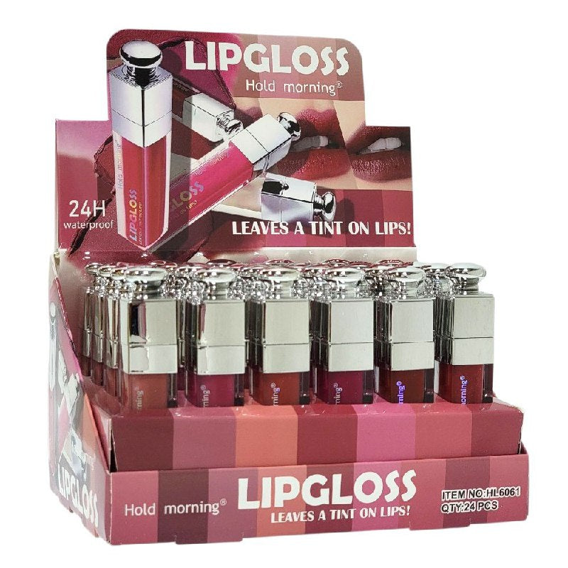 BRILLO LABIAL RESISTENTE AL AGUA HOLD MORNING 5ML (DUPE DE CHRISTIAN DIOR)