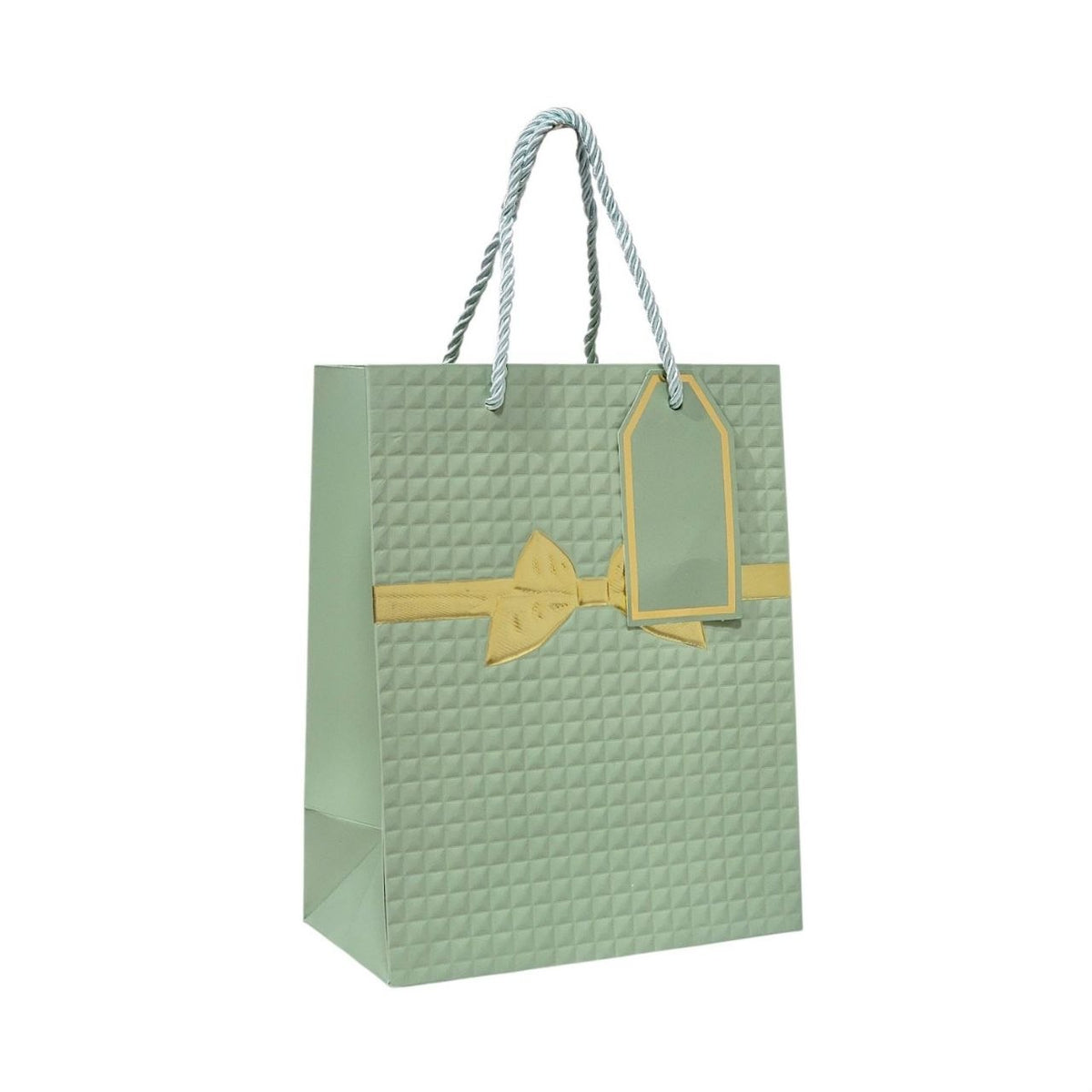 BOLSA DE REGALO MEDIANA 18X10X23CM