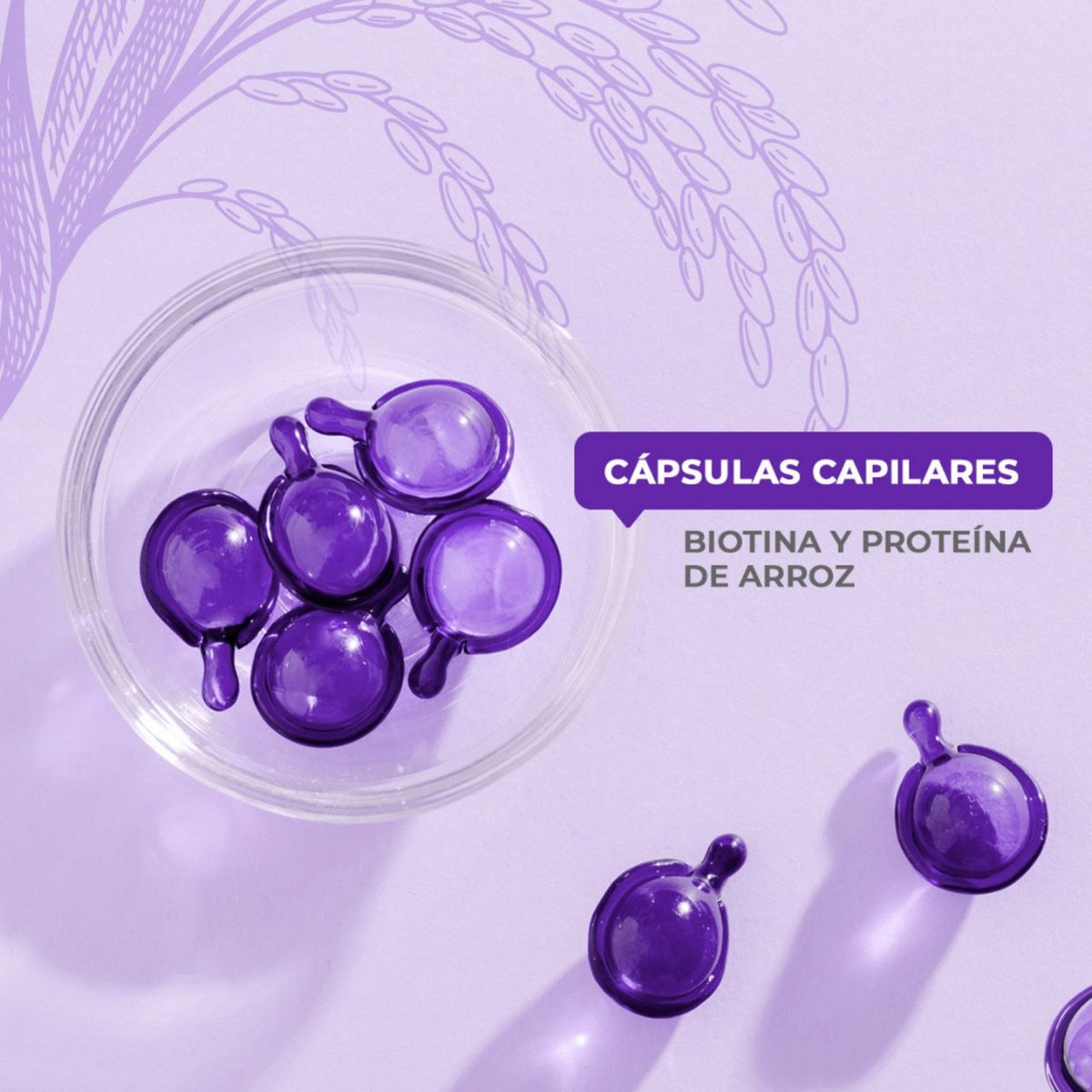 SUERO PARA EL CABELLO EN CAPSULAS NUTRITIVO Y FORTALECEDOR CON BIOTINA Y PROTEINA DE ARROZ 6UND NEVADA
