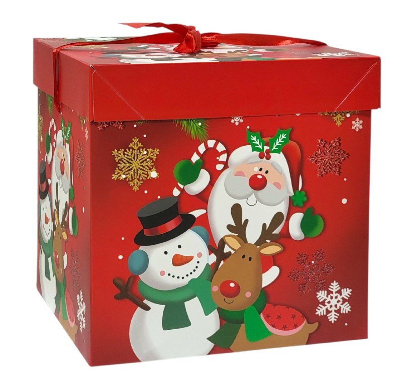CAJA DE REGALO NAVIDEÑA GRANDE 22X22X22CM