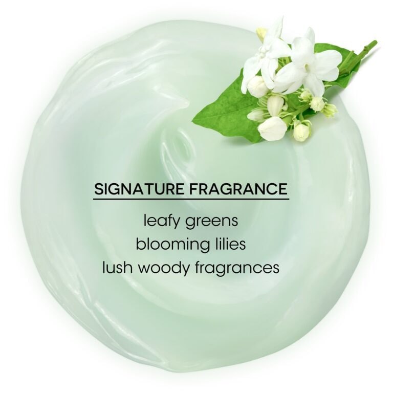 ACONDICIONADOR EQUILIBRANTE BOTANICO CON ACEITES NATURALES EMBELLECEDORES PARA PELO NORMAL A GRASO ZOTOS 400ML