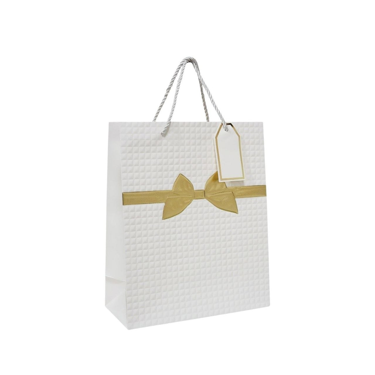 BOLSA DE REGALO MEDIANA 18X10X23CM