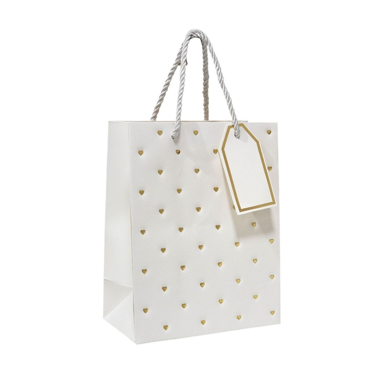BOLSA DE REGALO MEDIANA 18X10X23CM