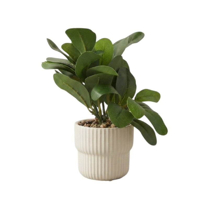 DECORACION PLANTA ARTIFICIAL DECORATIVA DE SOBREMESA COMPACTA ELEGANTE VARIAS MEDIDAS