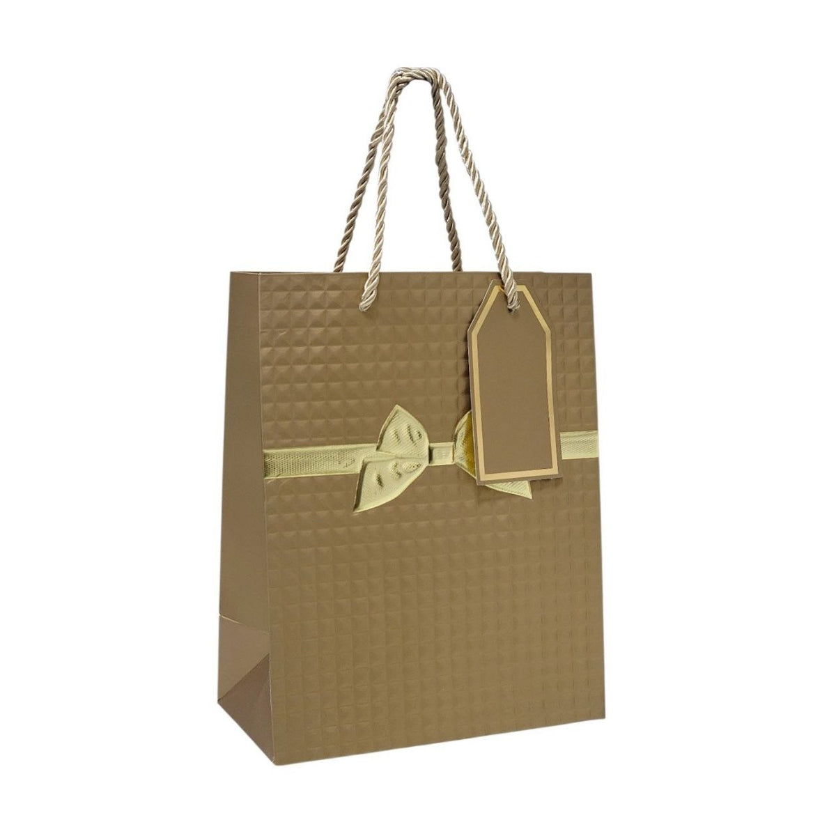 BOLSA DE REGALO MEDIANA 18X10X23CM