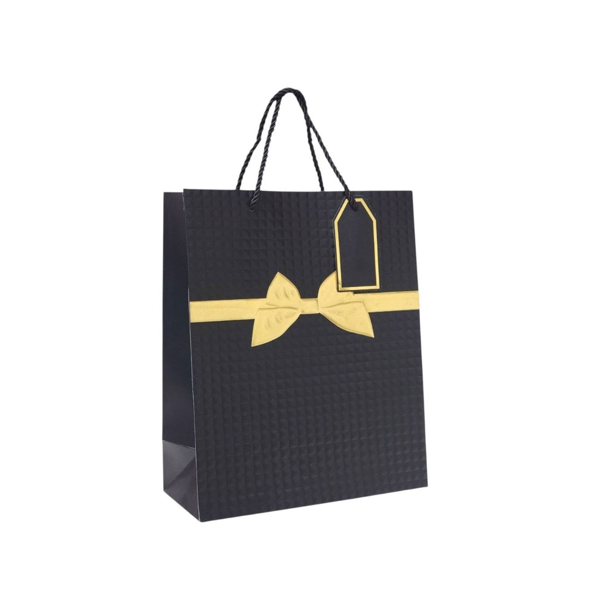 BOLSA DE REGALO MEDIANA 18X10X23CM