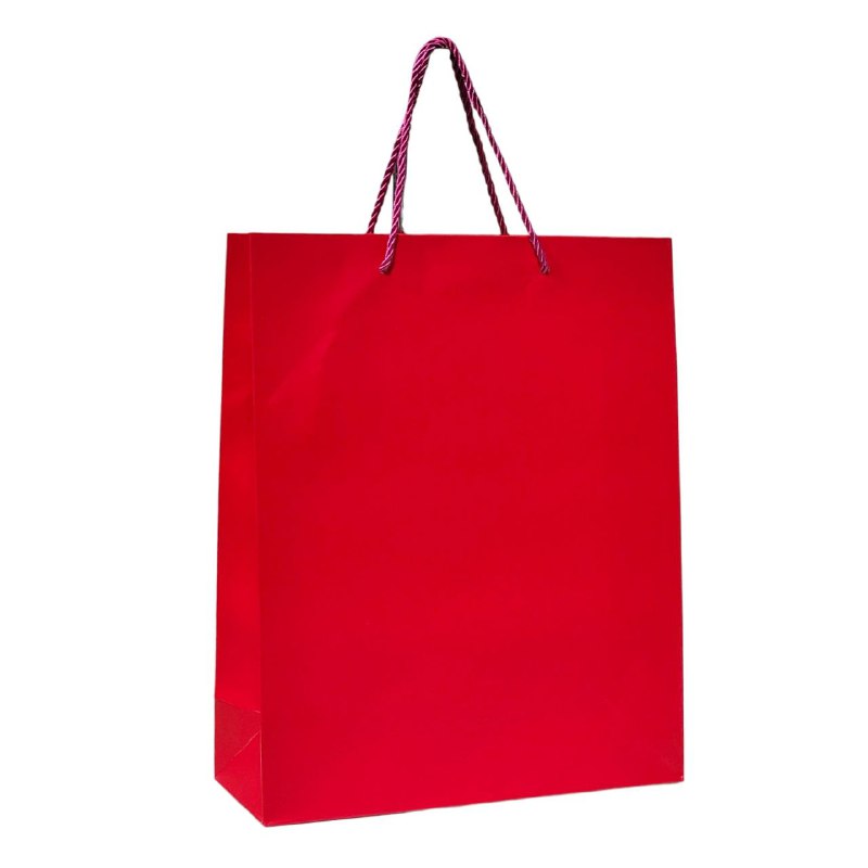 BOLSA DE REGALO MEDIANA 26X32X10CM