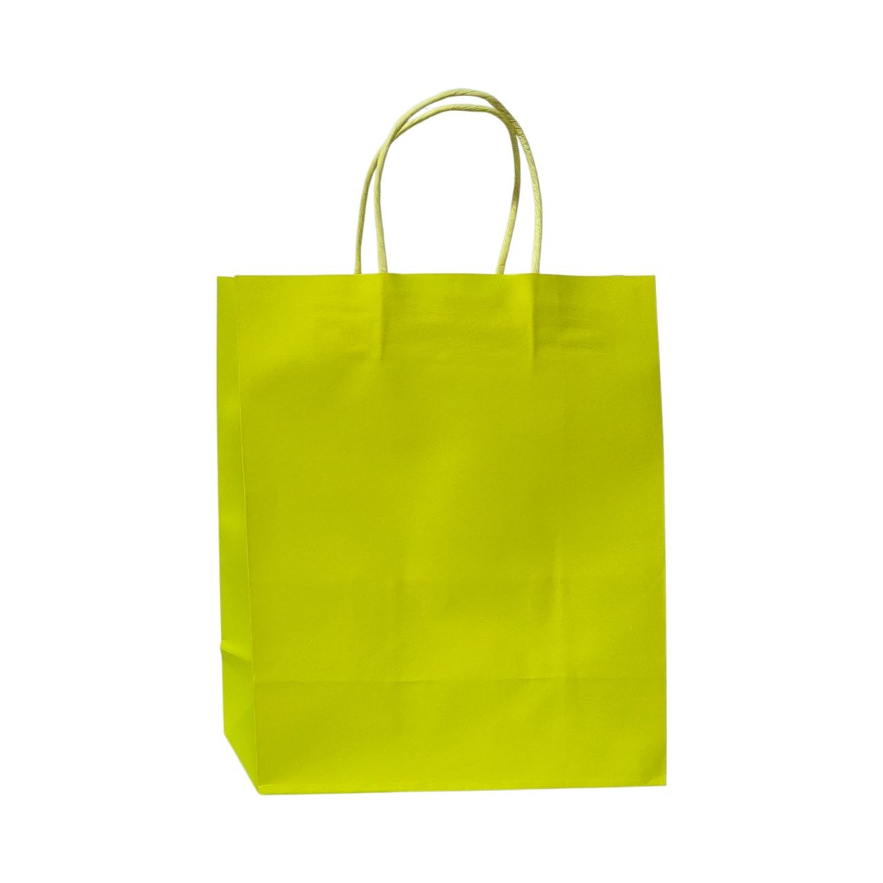 BOLSA DE REGALO MEDIANA 26X22X11CM