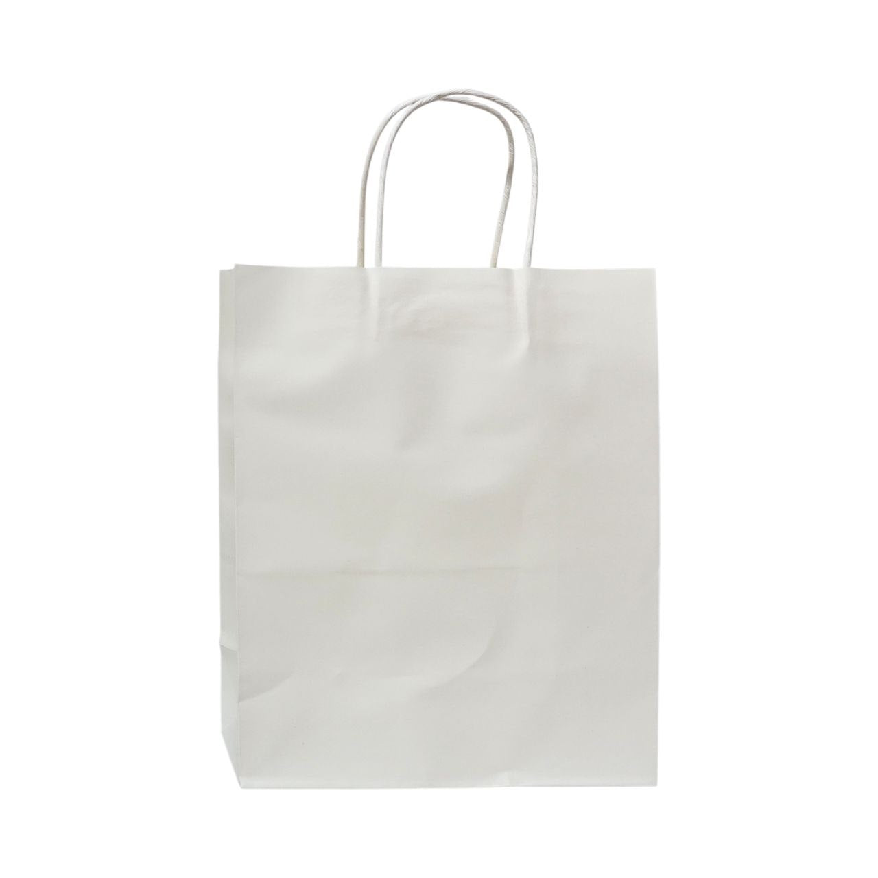 BOLSA DE REGALO MEDIANA 26X22X11CM