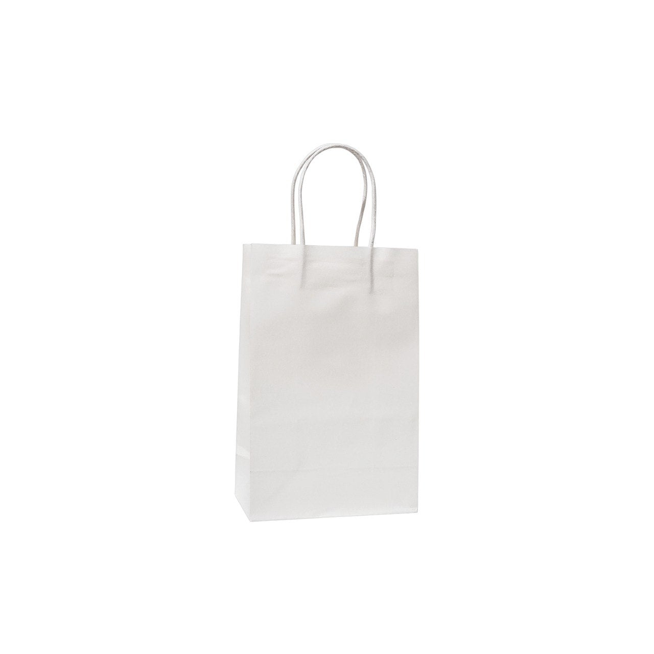 BOLSA DE REGALO PEQUEÑA 25X16X9CM