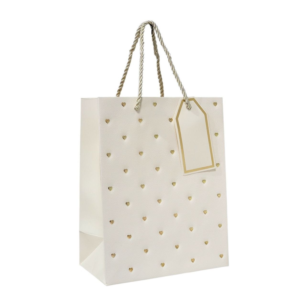 BOLSA DE REGALO MEDIANA 18X10X23CM