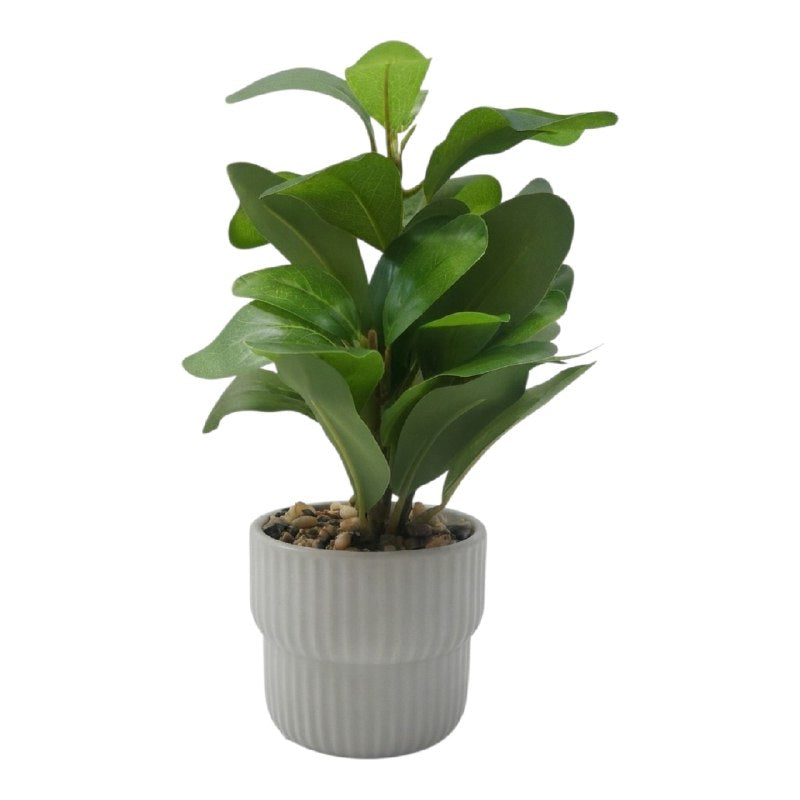 DECORACION PLANTA ARTIFICIAL DECORATIVA DE SOBREMESA COMPACTA ELEGANTE VARIAS MEDIDAS