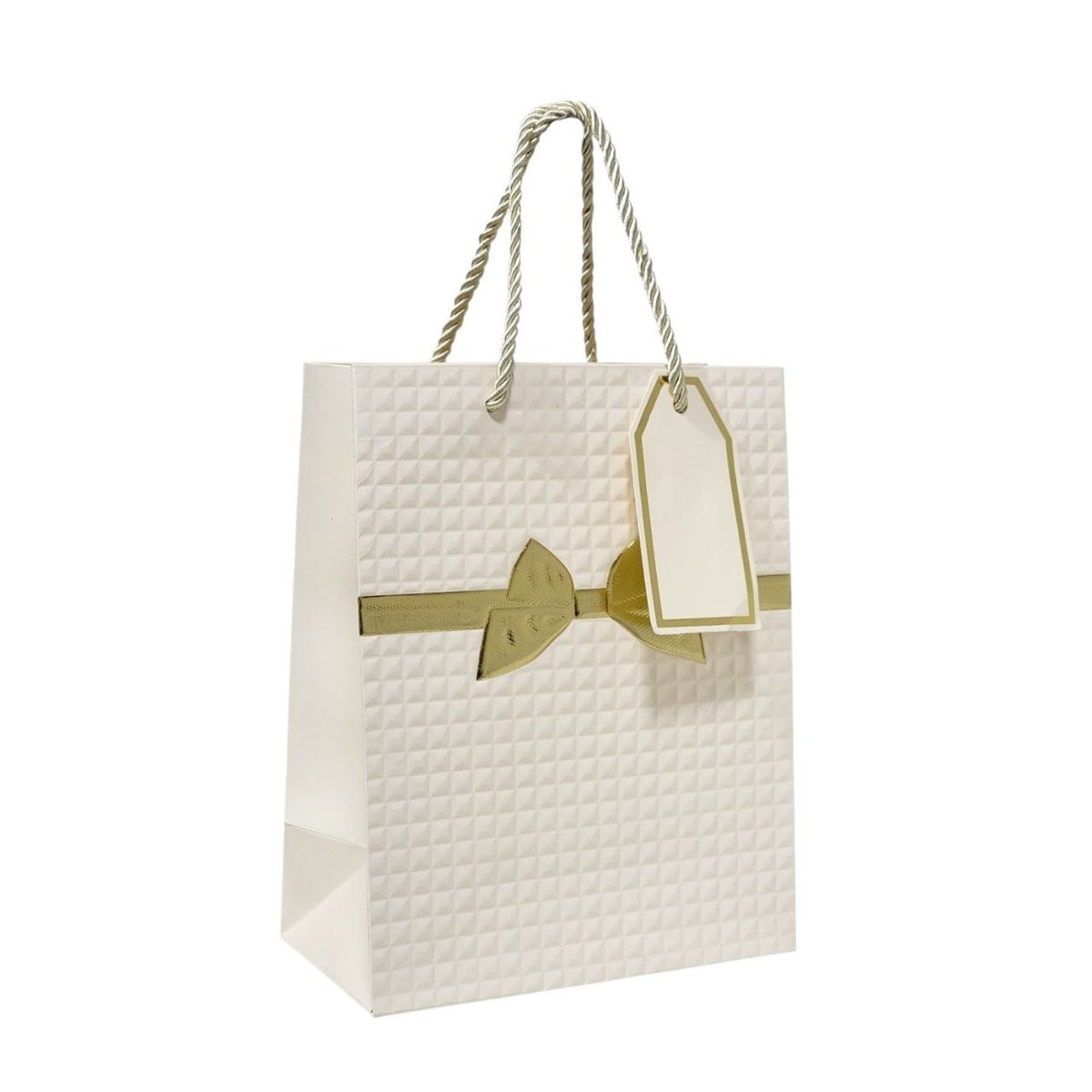 BOLSA DE REGALO MEDIANA 18X10X23CM