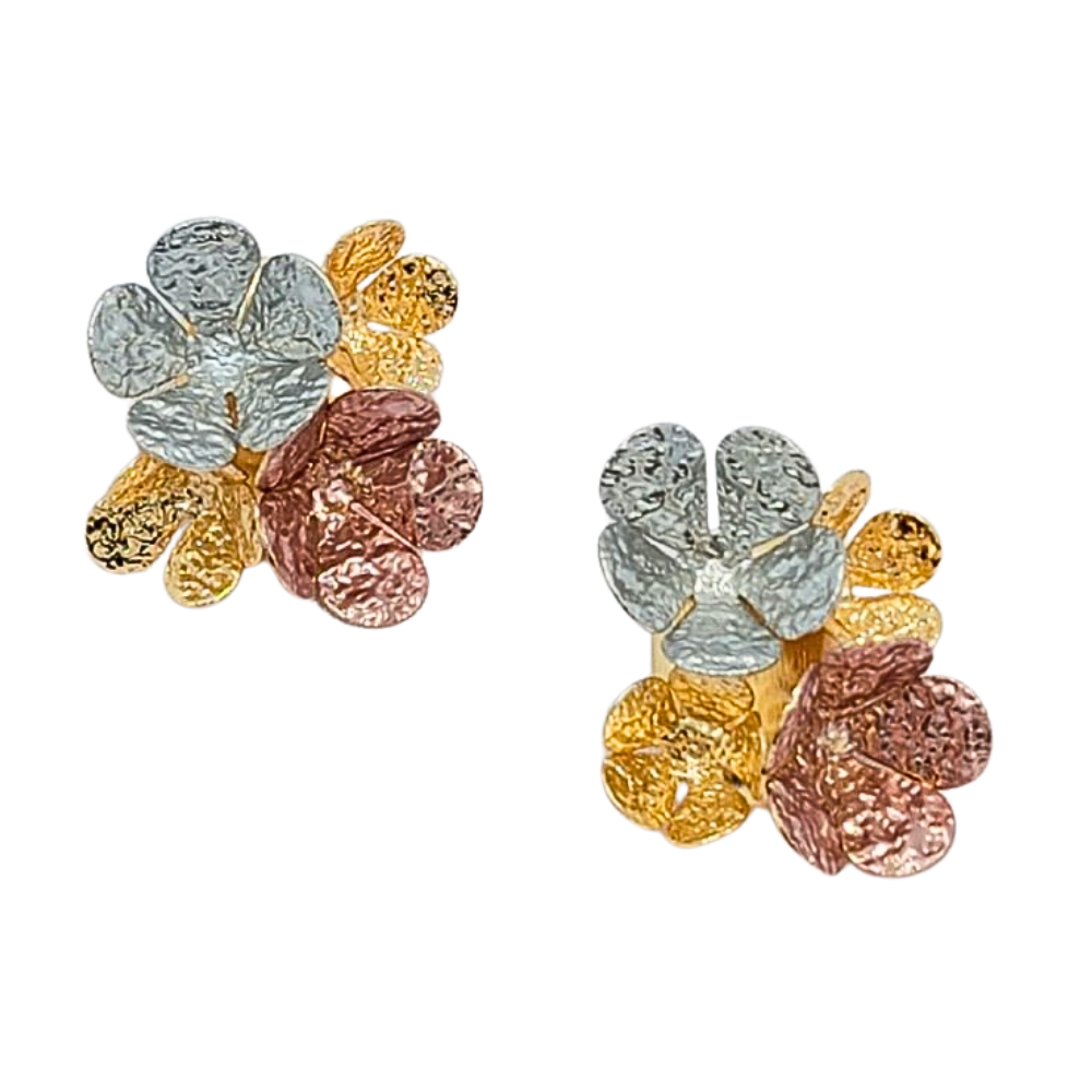 EARI4023 FORMA HOJAS
