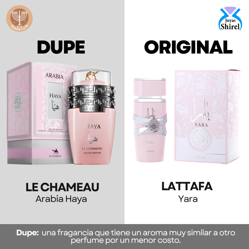 LE CHAMEAU ARABIA HAYA EDP 100ML (M) (DUPE LATTAFA YARA EDP)