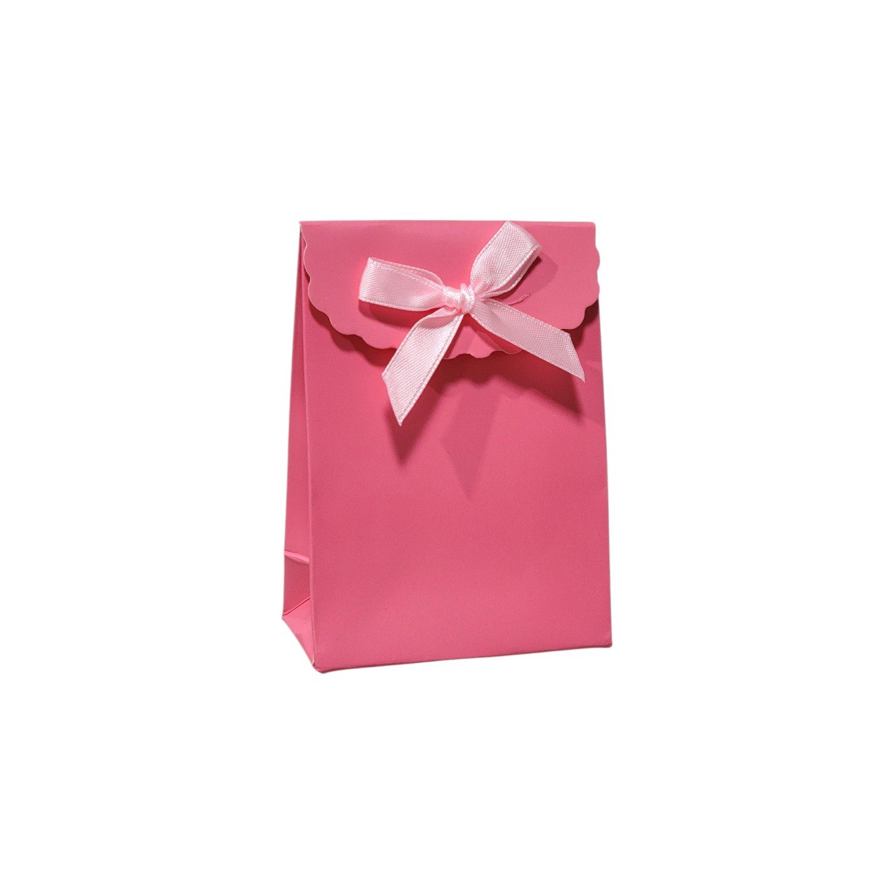 BOLSA DE REGALO PEQUEÑA 18X10X23CM