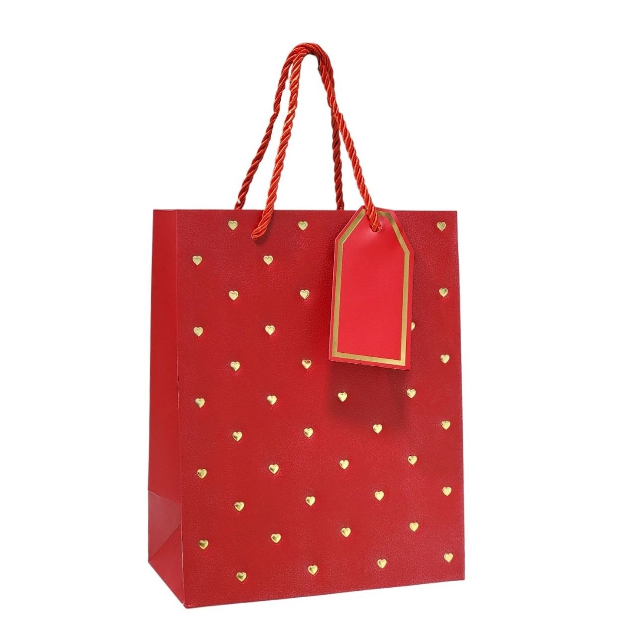 BOLSA DE REGALO MEDIANA 18X10X23CM