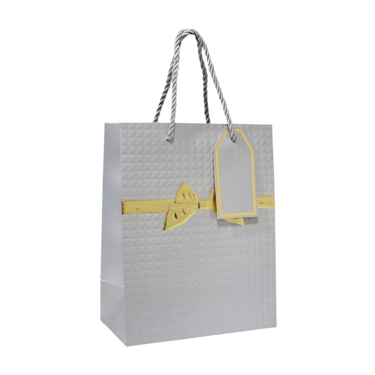 BOLSA DE REGALO MEDIANA 18X10X23CM