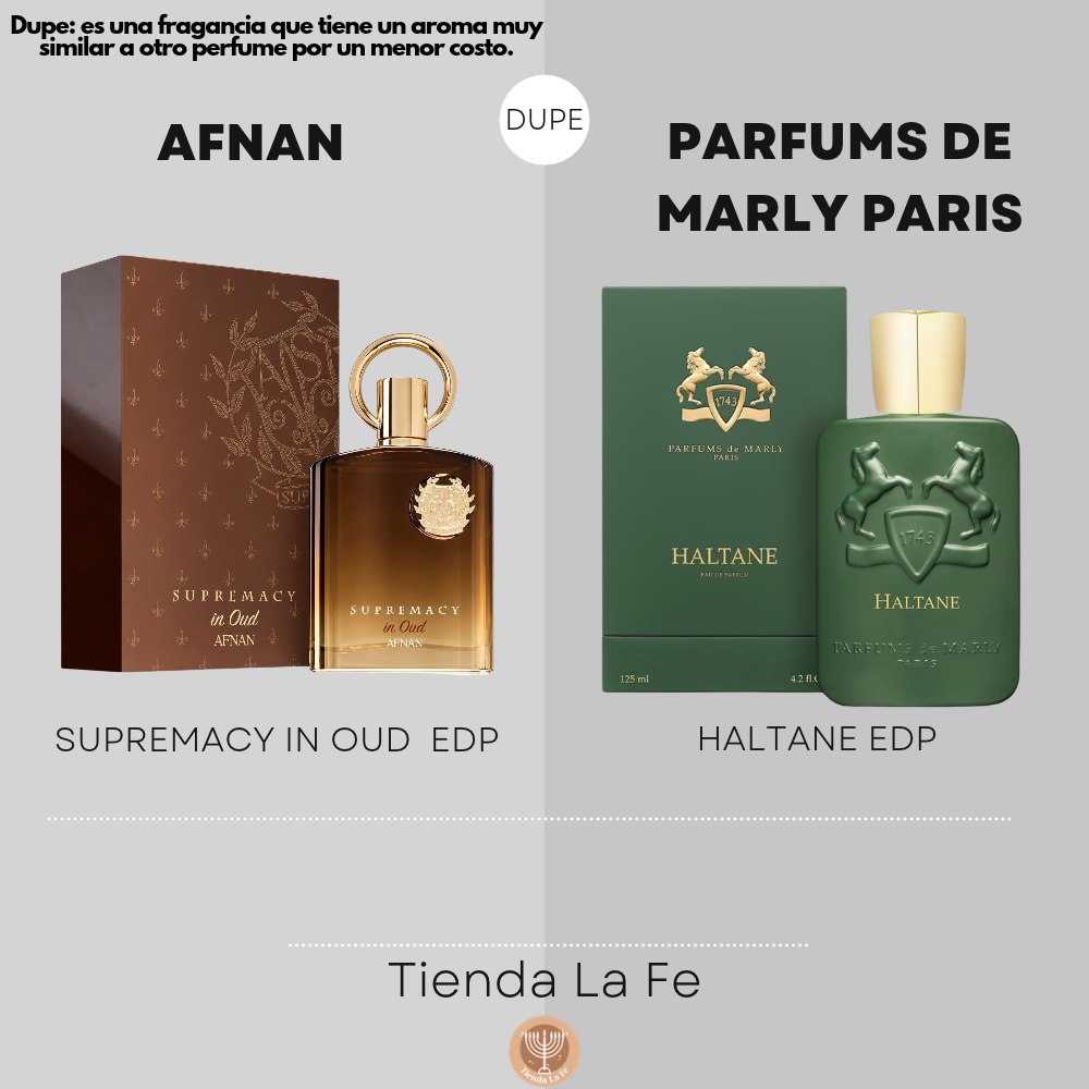 AFNAN SUPREMACY IN OUD EXTRAIT DE PARFUM 100ML (U)