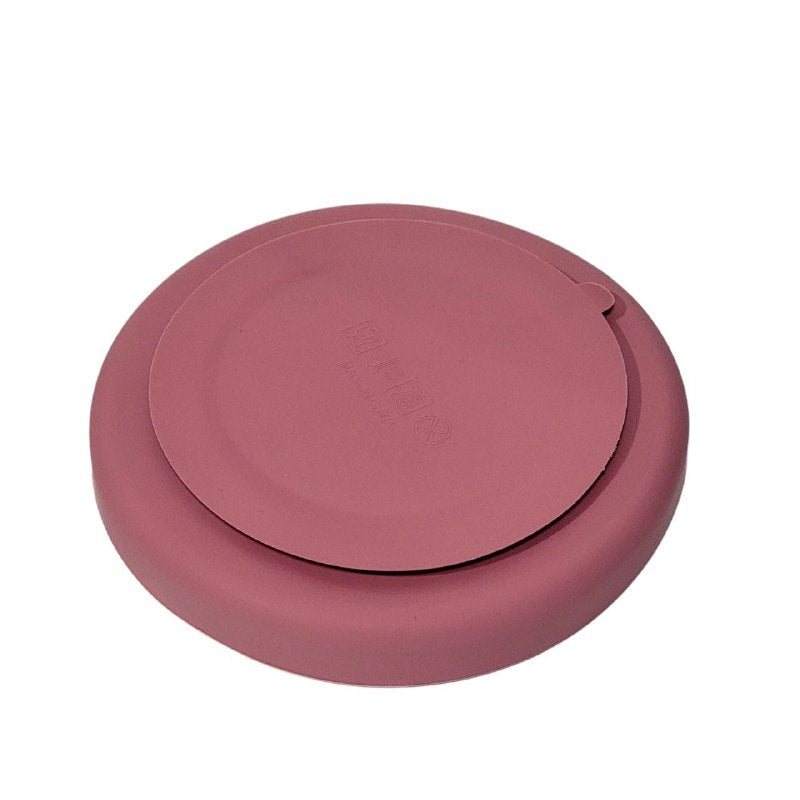 PLATO PARA BEBES CON DIVISIONES DE SILICONA PREMIUM BPA