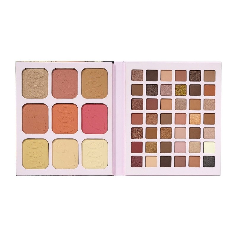 PALETA DE SOMBRAS DE OJOS TODO EN UNO CON POLVOS DE 51 TONOS BBROSE 11G