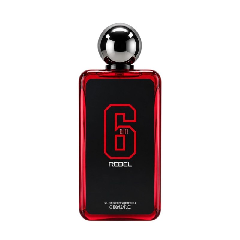 6AM REBEL EDP 100ML (H) (AROMA SIMILAR AFNAN 9PM REBEL EDP)