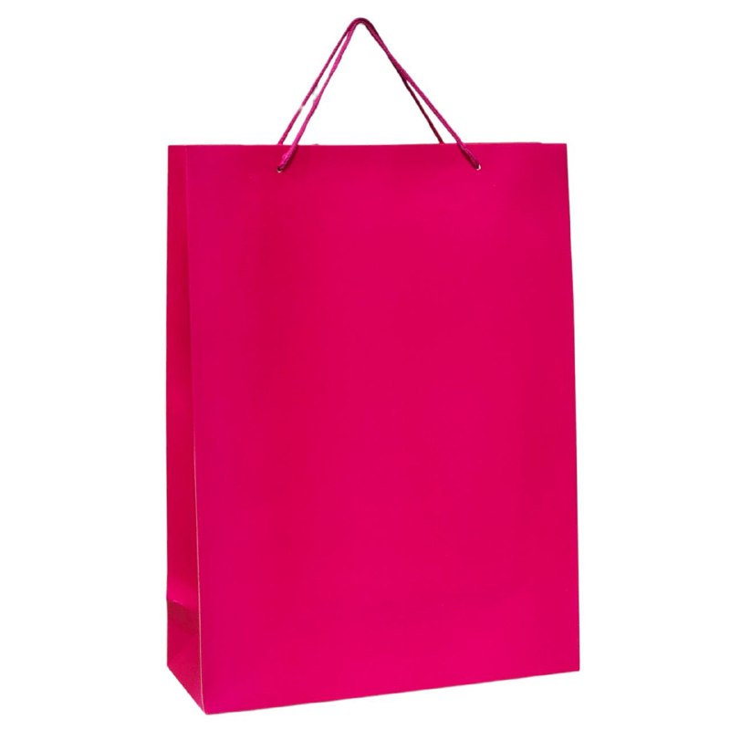BOLSA DE REGALO DE GRANDE 30X12X41CM