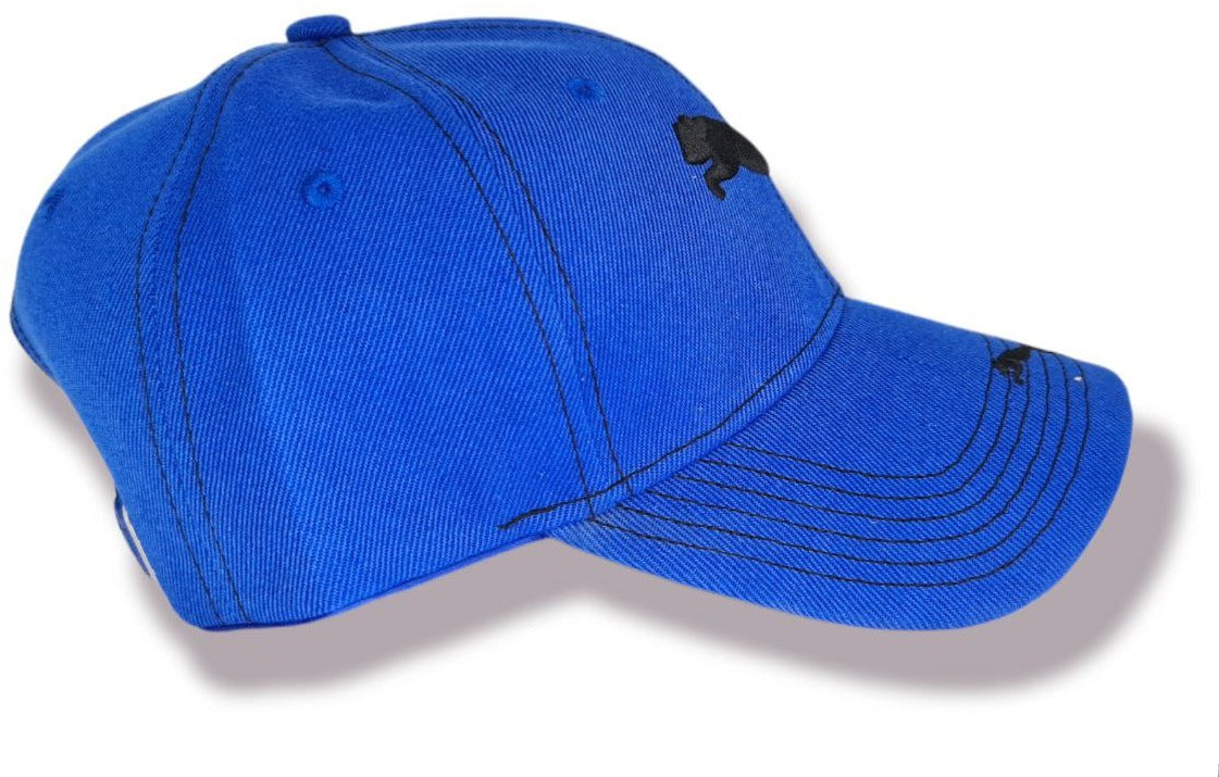 GORRA01